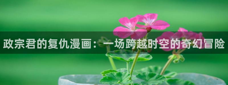 韩漫羞羞漫画无删减：政宗君的复仇漫画：一场跨越时空的奇幻冒险