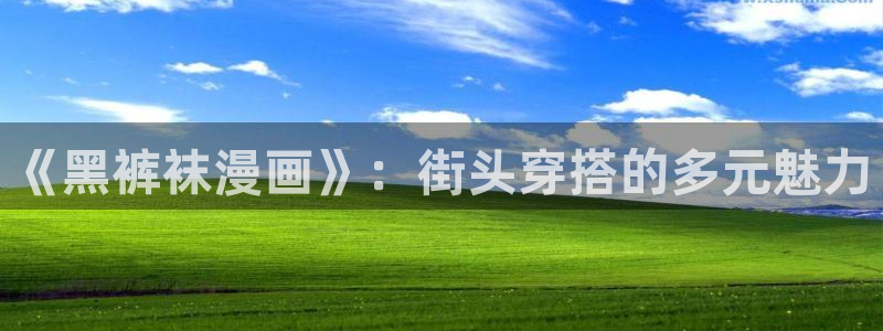 3d漫画韩漫在线：《黑裤袜漫画》：街头穿搭的多元魅力