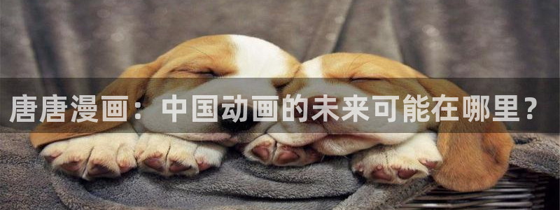 黄韩漫画：唐唐漫画：中国动画的未来可能在哪里？