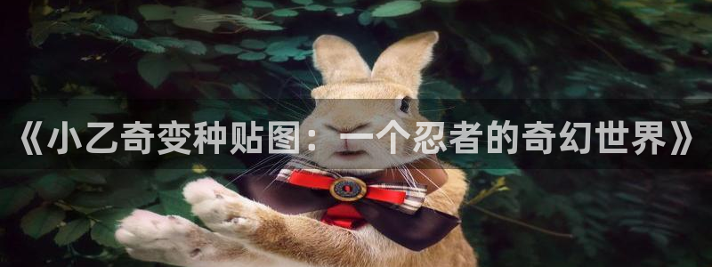 私宅女主人韩漫画：《小乙奇变种贴图：一个忍者的奇幻世界》
