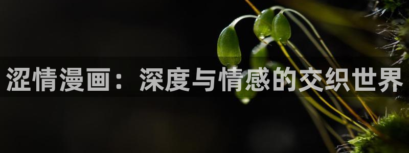 韩漫在线免费看：涩情漫画：深度与情感的交织世界